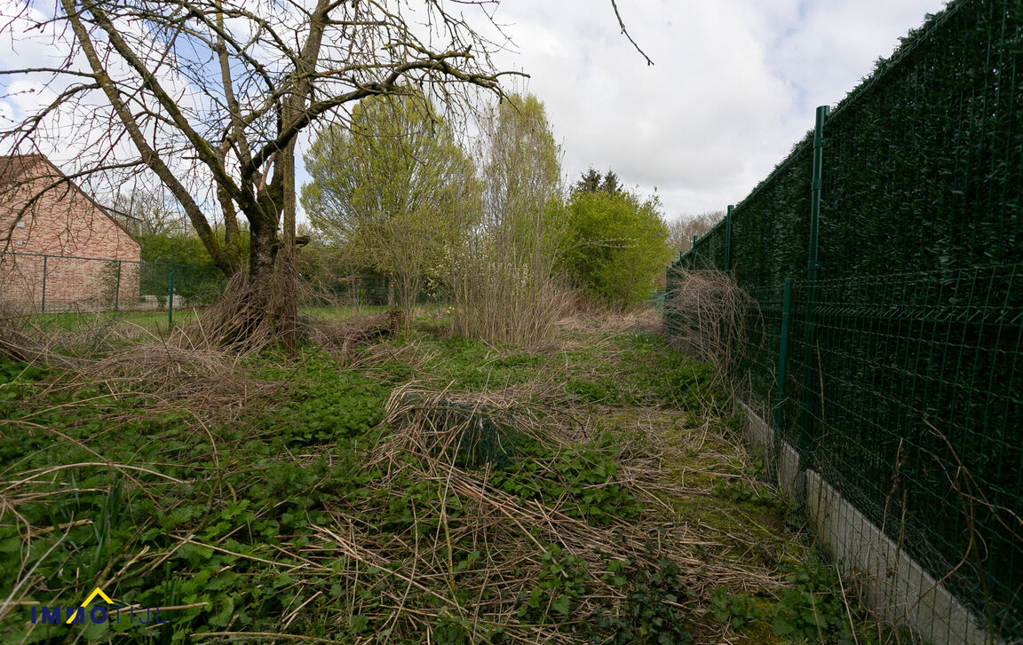 Bouwgrond te koop in Asse