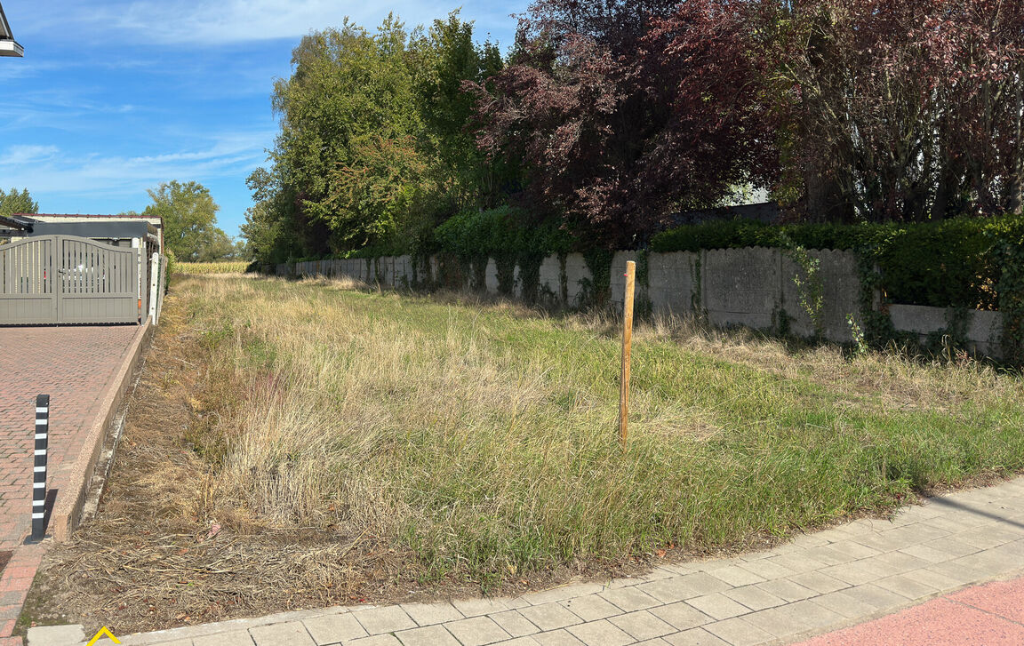 Bouwgrond te koop in Herdersem