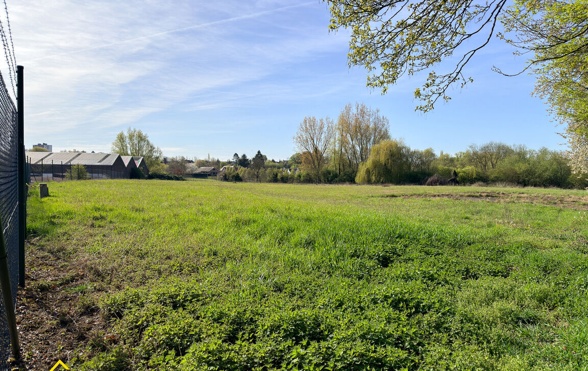 Weide te koop in Tienen