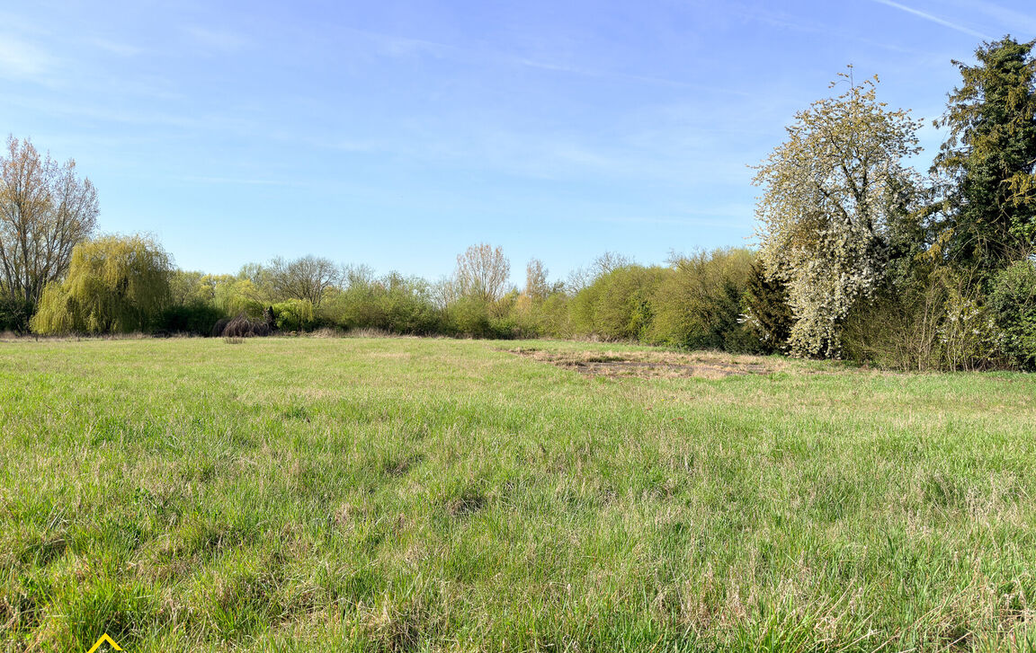 Weide te koop in Tienen