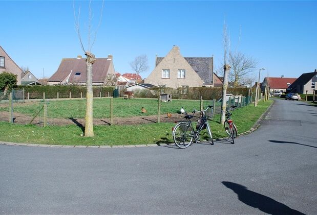 DSC_0008.JPGPictureReference:[69738]