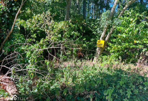 Landbouwgrond te koop in Lede